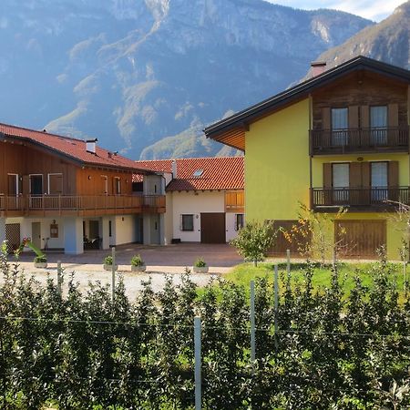 Agritur Clementi Villa Nave San Rocco Exterior photo